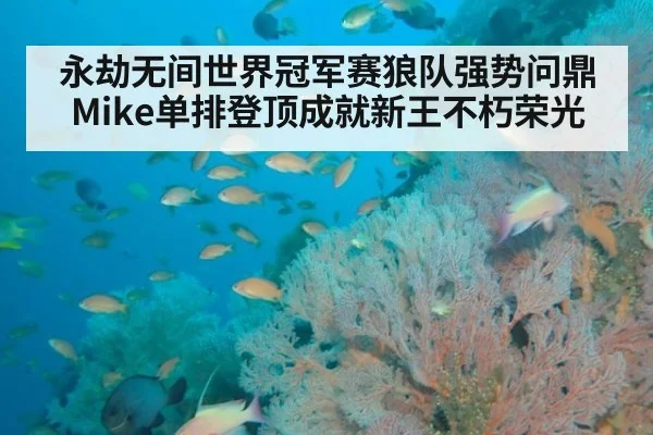 永劫无间世界冠军赛狼队强势问鼎 Mike单排登顶成就新王不朽荣光